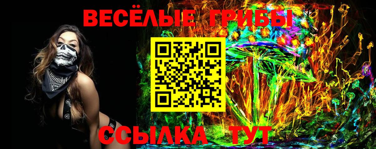 Псилоцибиновые грибы GOLDEN TEACHER Муром